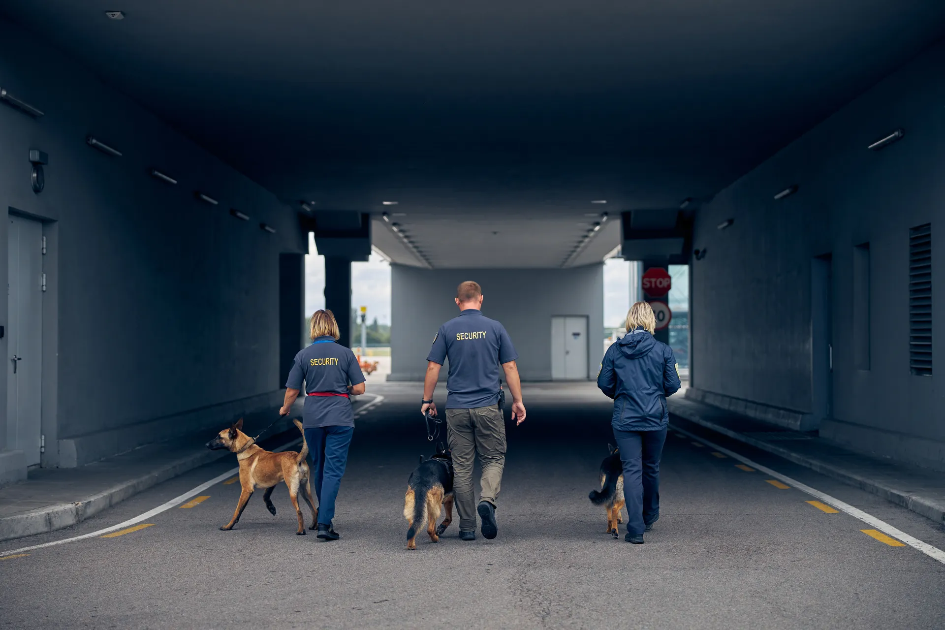 Top 5 Security Companies in California